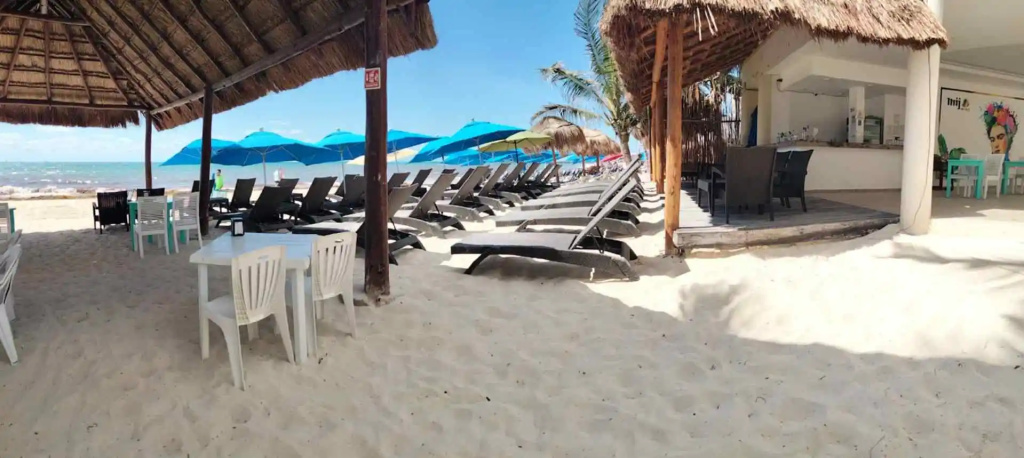 Beach & Waterfront