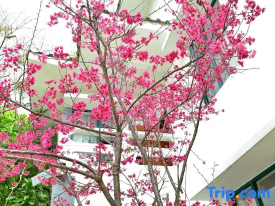 Xixi Hot Spring Homestay