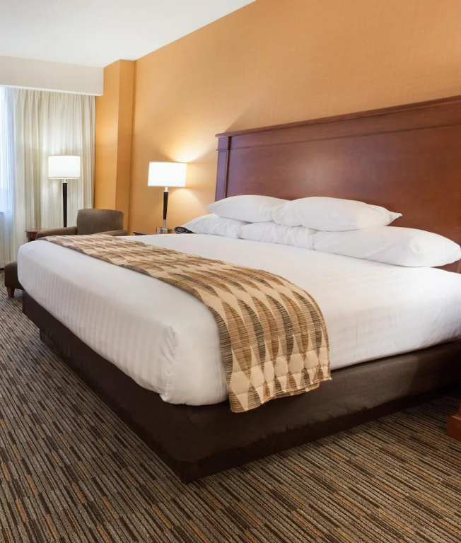 Drury Plaza Hotel Indianapolis Carmel - Chambres