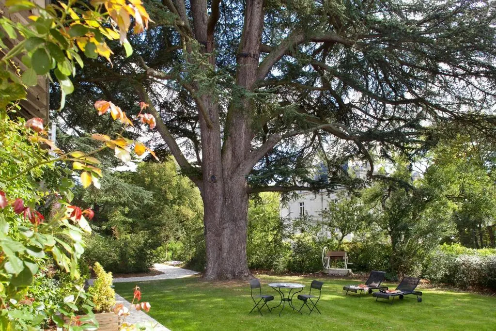 Domaine de la Tortinière - Chambres