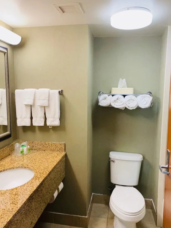 Holiday Inn Memphis-University of Memphis - Chambres