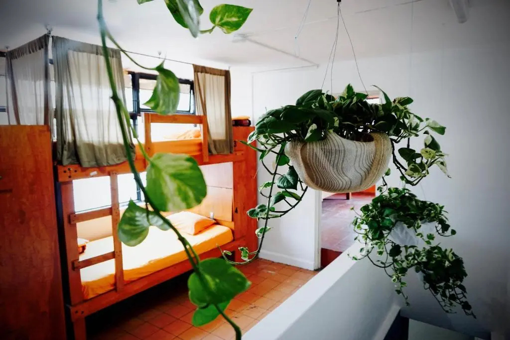 Bed in Dorm