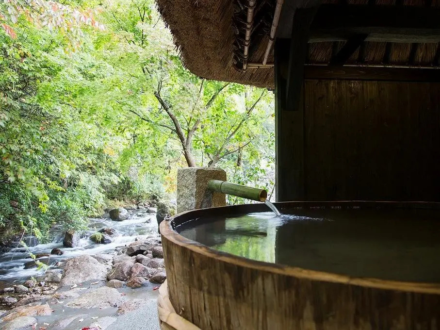 Ryokan Miyama Sansou - Chambres
