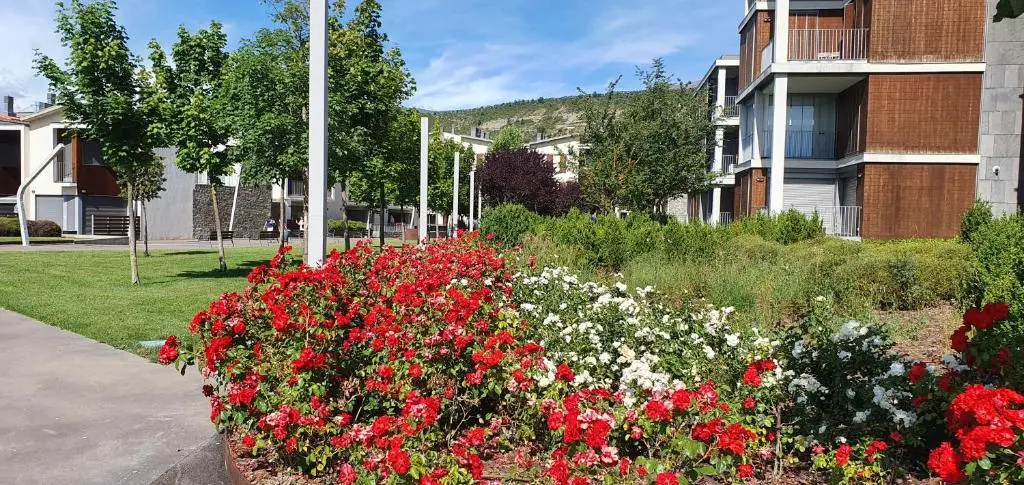 Apartamento Pirineo De Huesca, Jaca, Formigal, Panticosa
