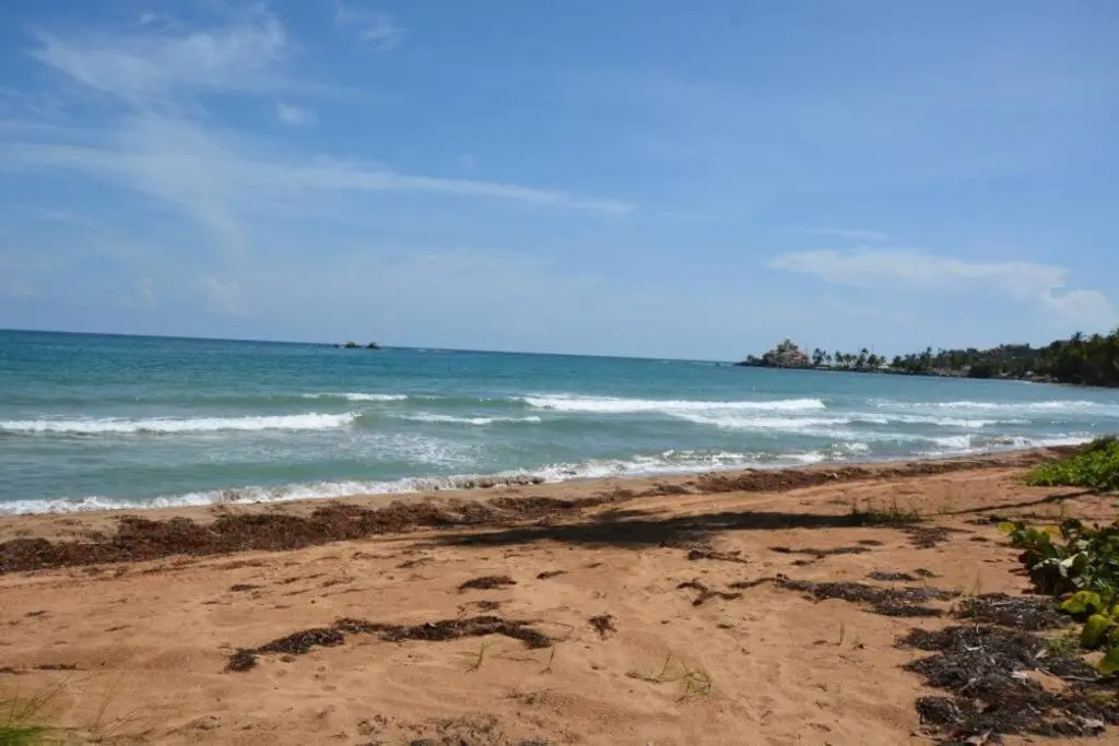 Beach Villa 215