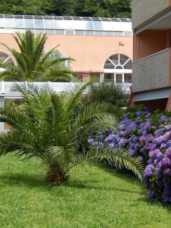 Hotel photo 12