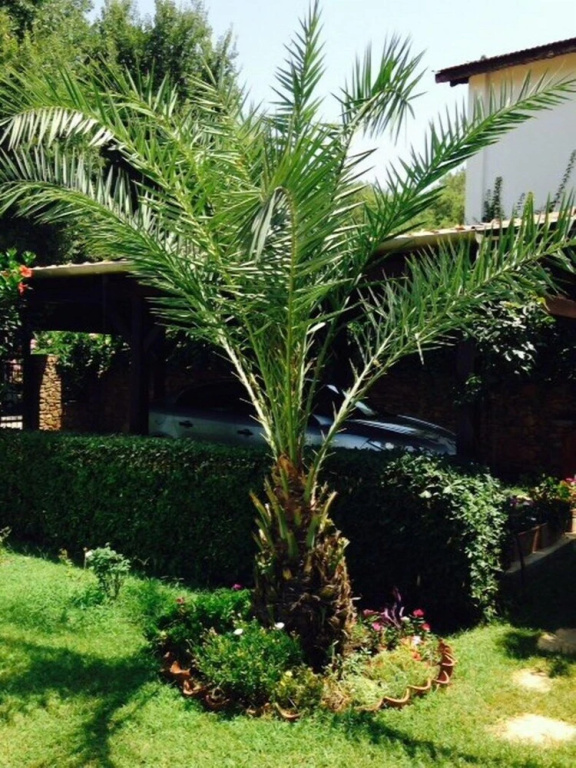 Hotel photo 49