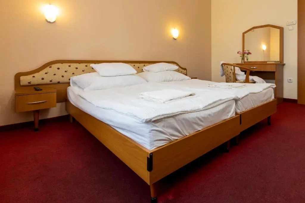 Hotel Imperial Gyogyszallo es Gyogyfurdo - фото 3