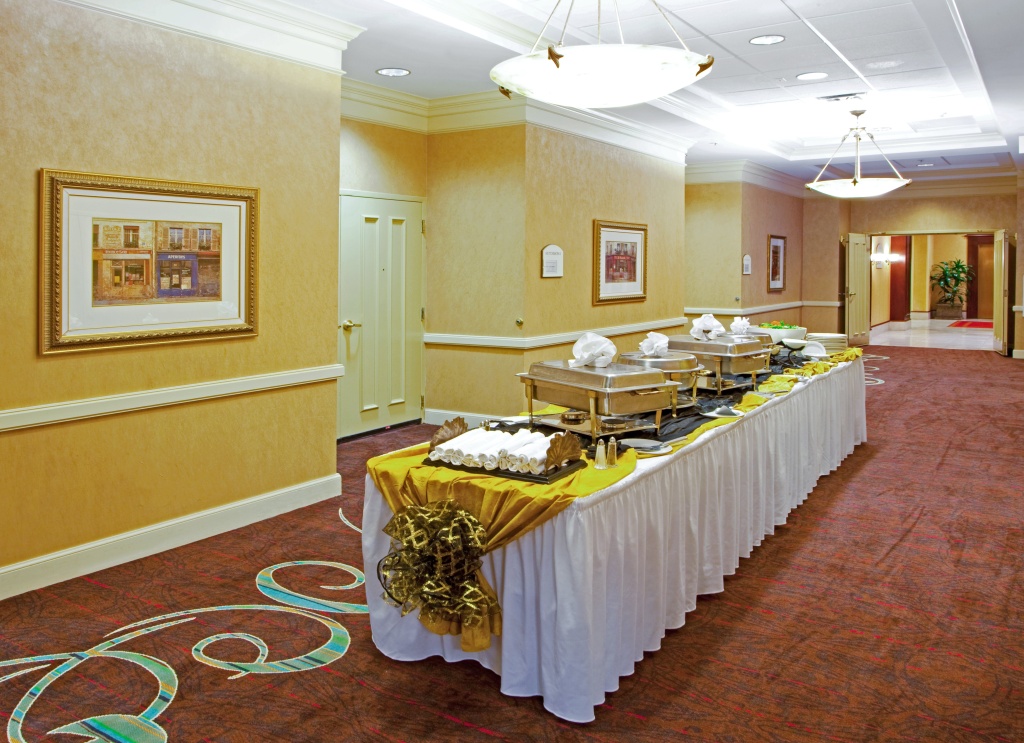 Holiday Inn Chantilly-Dulles Expo Center by IHG - Général