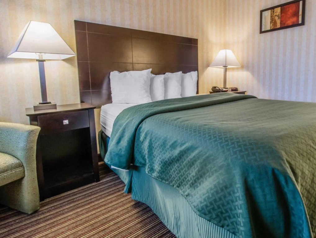 Comfort Inn - Chambres