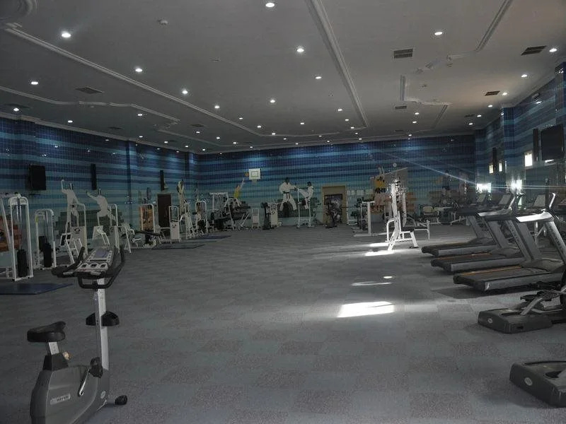 Abha Airport Hotel - Général