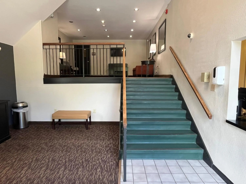 Image 15