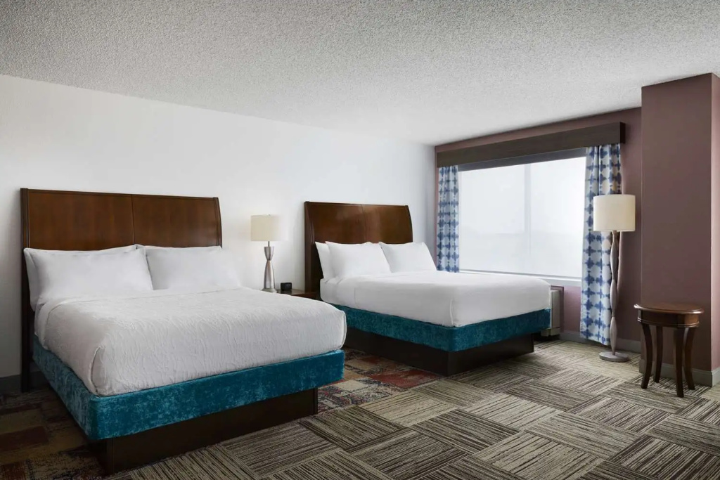Hilton Garden Inn Denver South Park Meadows Area - Chambres