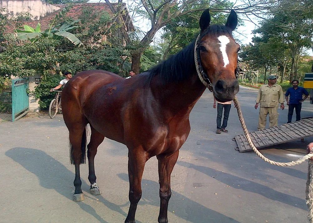 The Vedic Village — фото 5
