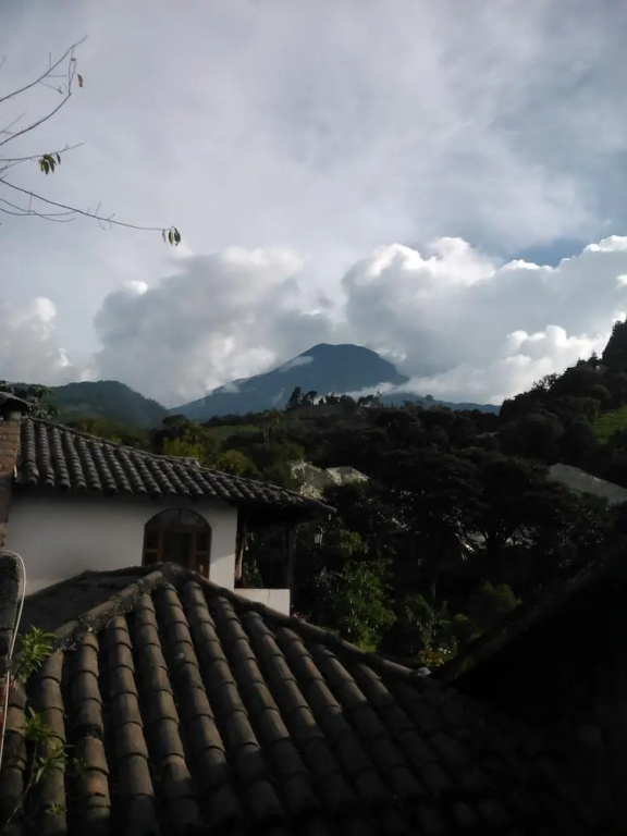 Rutun Orquídeas