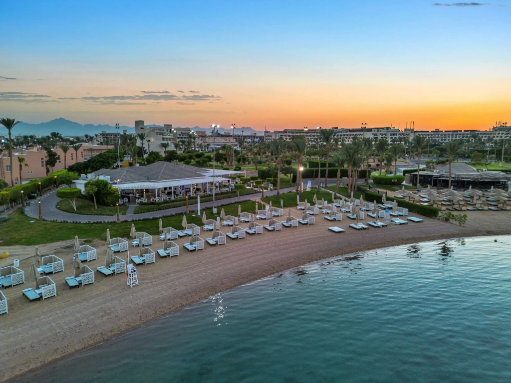 Steigenberger Pure Lifestyle (Adults Only): Relax by the water on a beachfront lined with sun loungers and umbrellas.