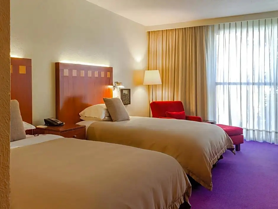 Deluxe Double room (twin beds)