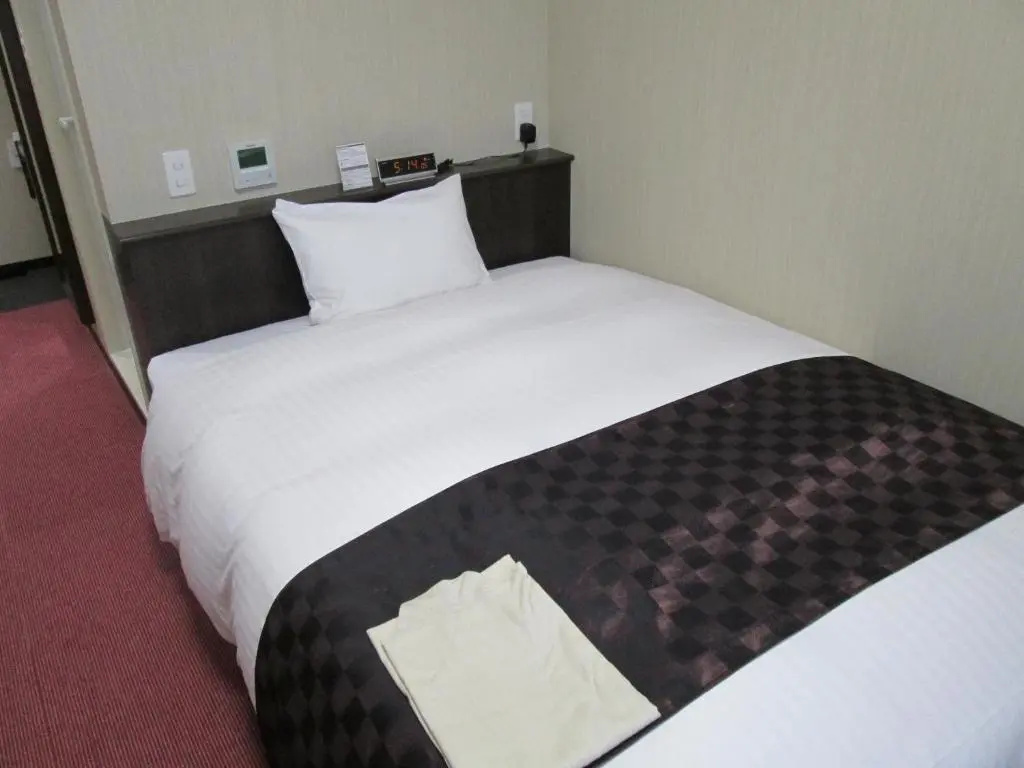 Okawa Riverside Hotel - Chambres