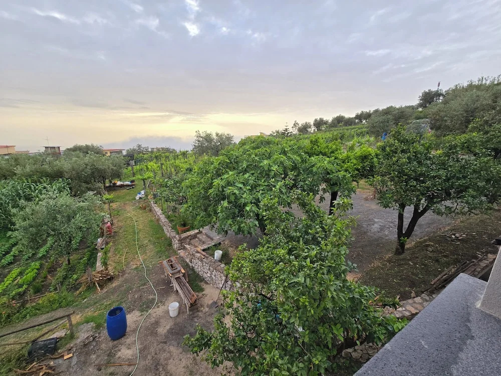 N haidea - AgriFarm e B&B