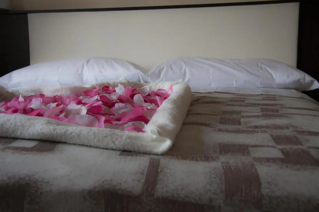 Stardust Rome - Chambres
