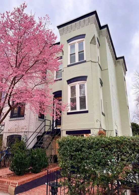 Charming and Historic Apartment in Capitol Hill