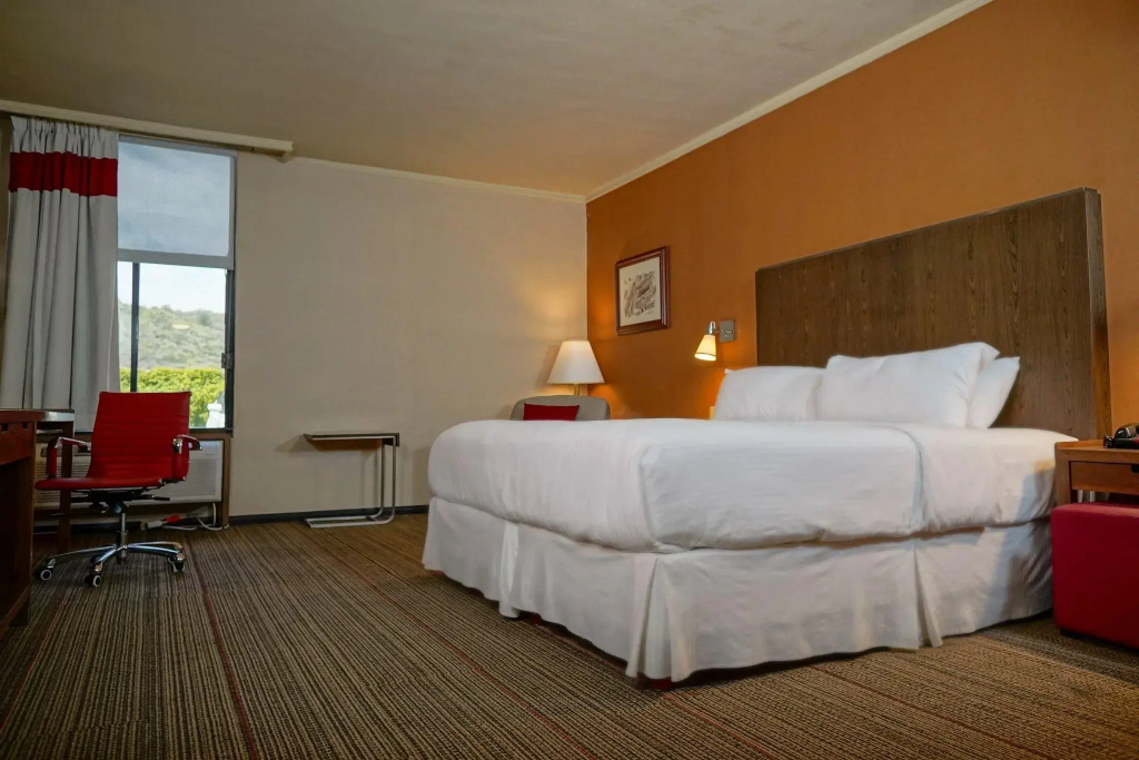 Standard Double room (full double bed)
