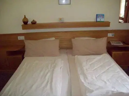 Hotel Pension Schweizerhof - Général