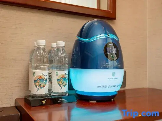 Wuhan Tianchimel Hotel - Chambres