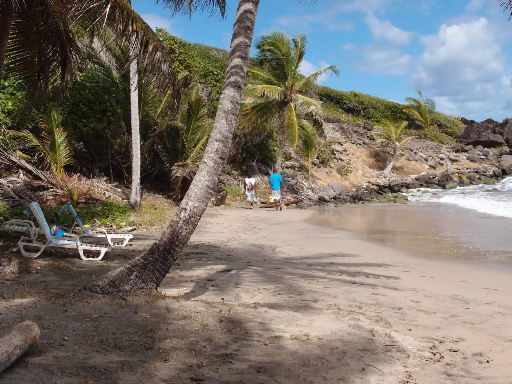 Petite Anse Hotel - фото 12