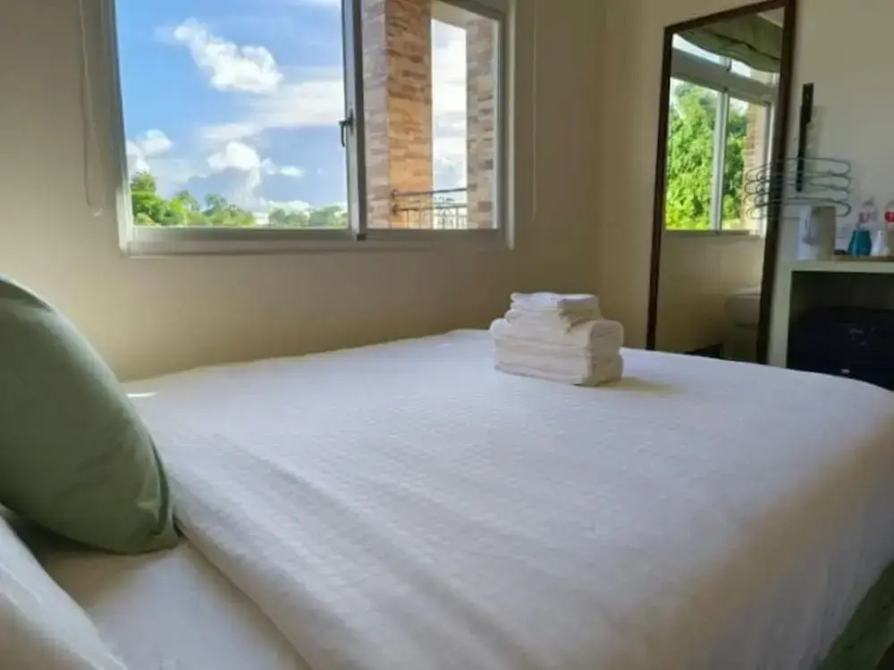 Standard Double room with mountain view (full double bed)