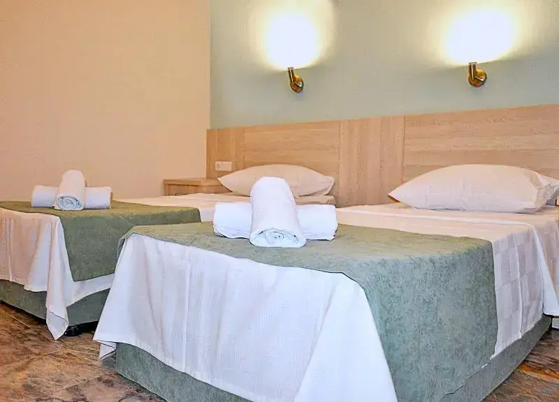 Standard Double room with balcony (twin beds)