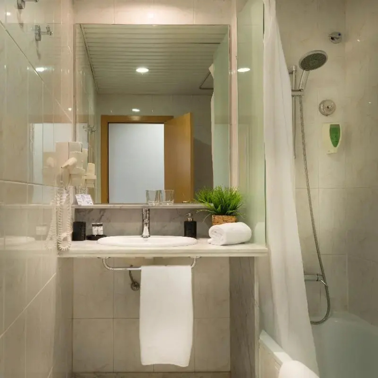 Standard Double room (full double bed)