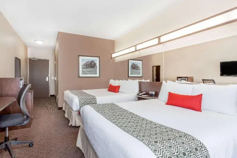Microtel Inn & Suites by Wyndham Estevan - Chambres