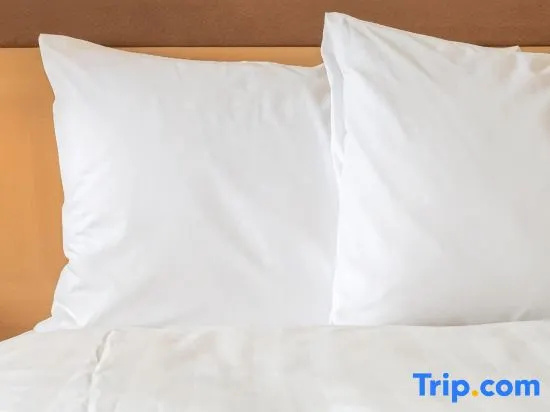 Holiday Inn Express Hotel & Suites Brainerd-Baxter by IHG - Chambres
