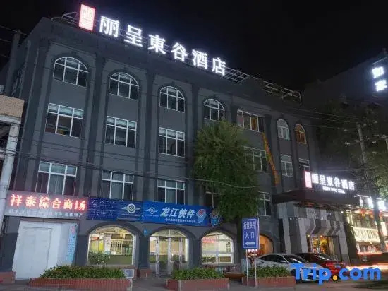 Rezen Dong Hotel (Harbin Railway Station)