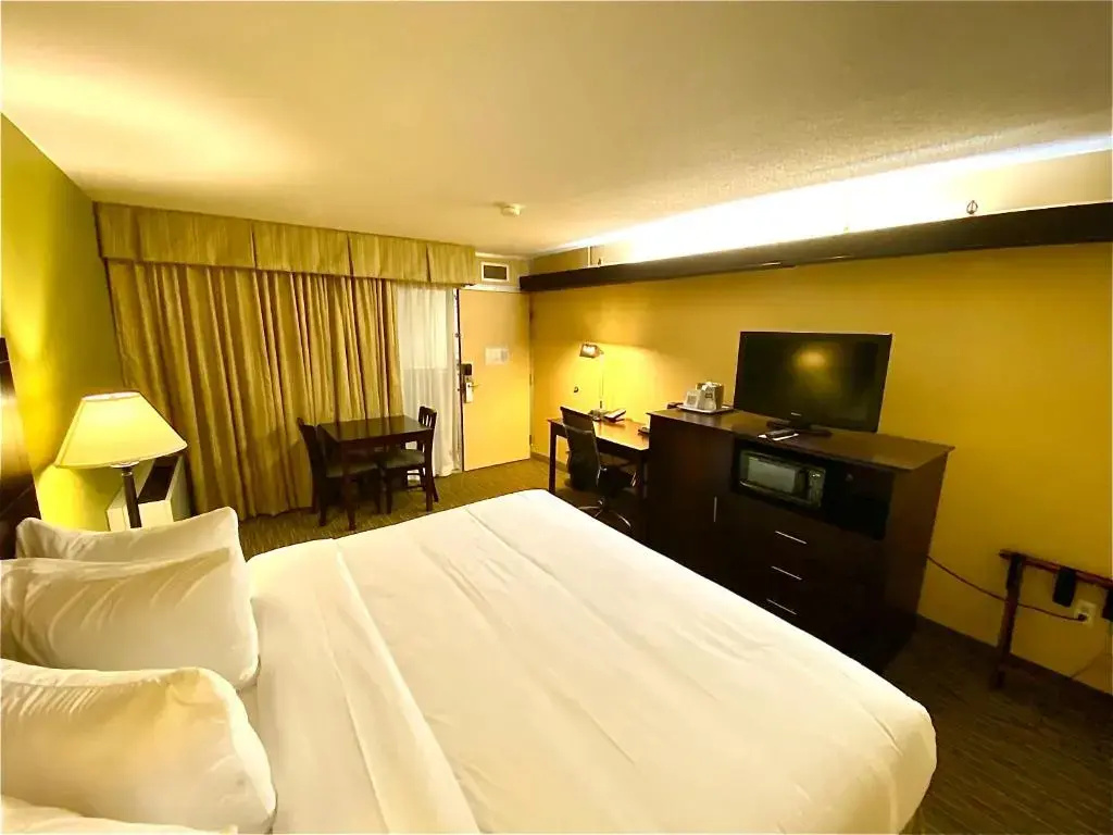 Wyndham Garden Ann Arbor - Chambres