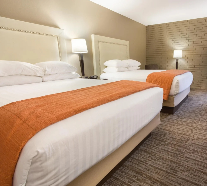 Drury Inn & Suites Greensboro - Chambres
