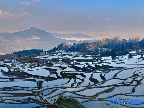Rice Field Ideal | Blue Terraced Fields Panoramic View Homestay in Yuanyang