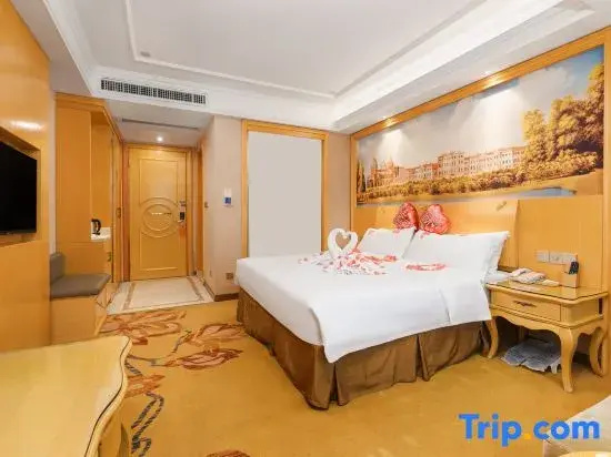 Vienna Hotel Guangxi Nanning Changhu Road Branch - Chambres