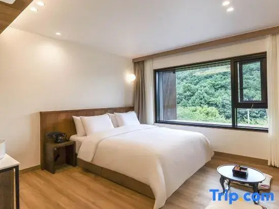 Deluxe Double room (full double bed)
