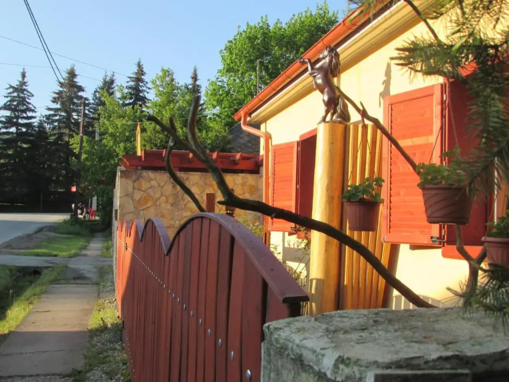 Viki Vendégház - фото 37