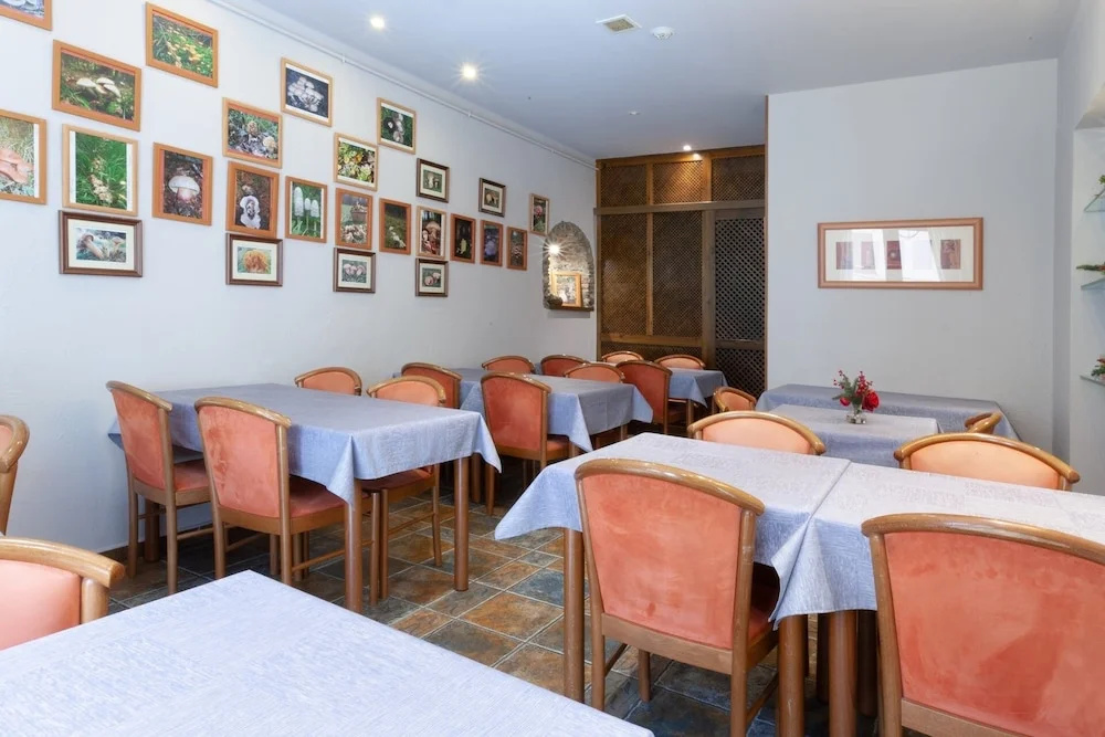 Hotel Fonda Merce - Général