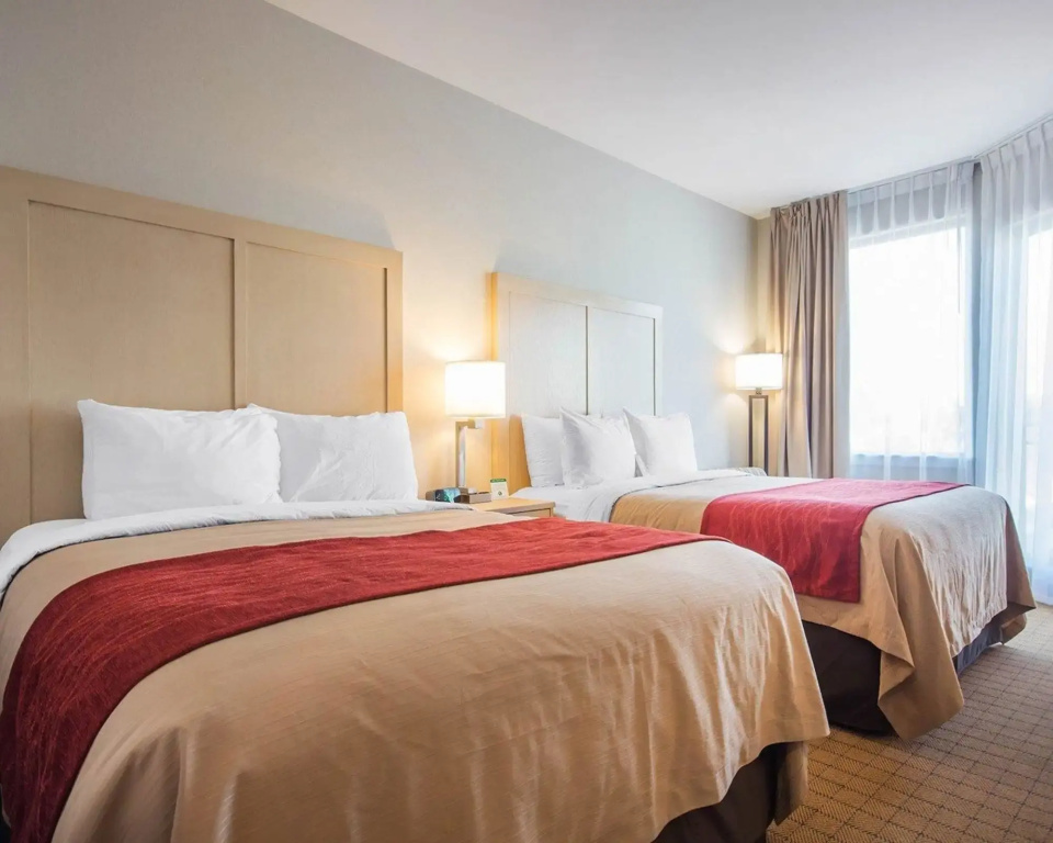 Comfort Inn & Suites - Général