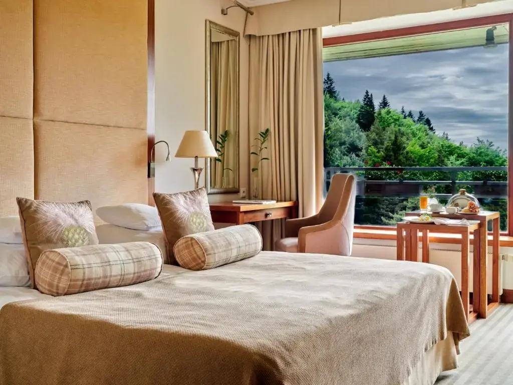 Hotel SPA Dr Irena Eris Krynica Zdrój 12+ - Chambres