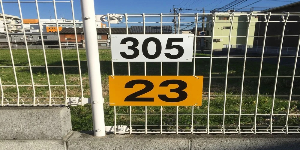 Sunny Beppu 사진 16