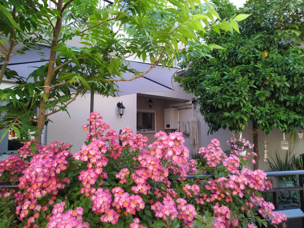 Mary's Dreamy Maisonette