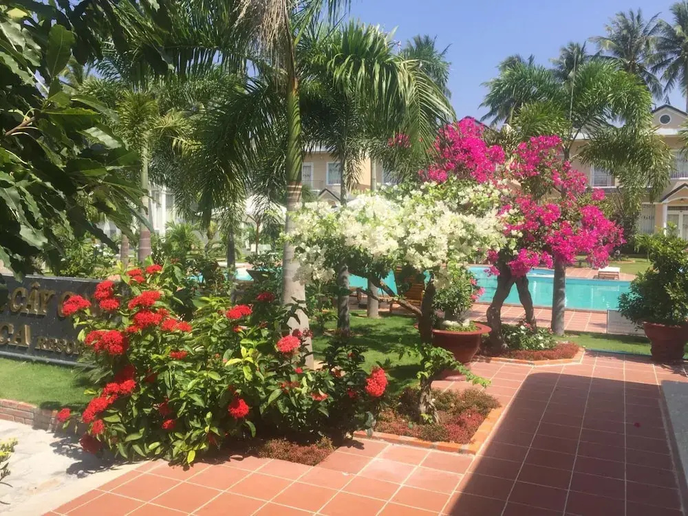 Areca Resort Cay Cau - Général