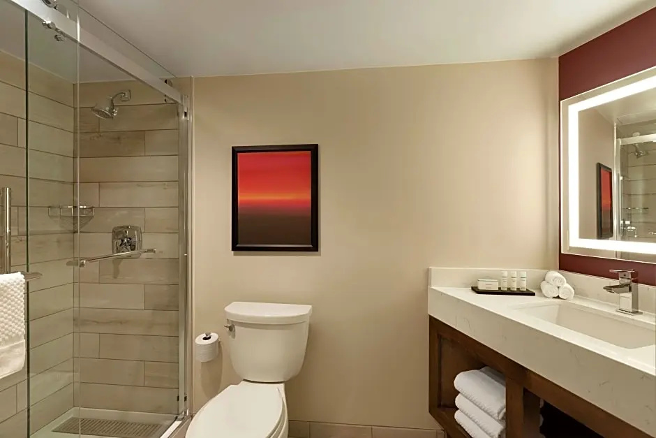 Embassy Suites by Hilton Phoenix Downtown North - Chambres