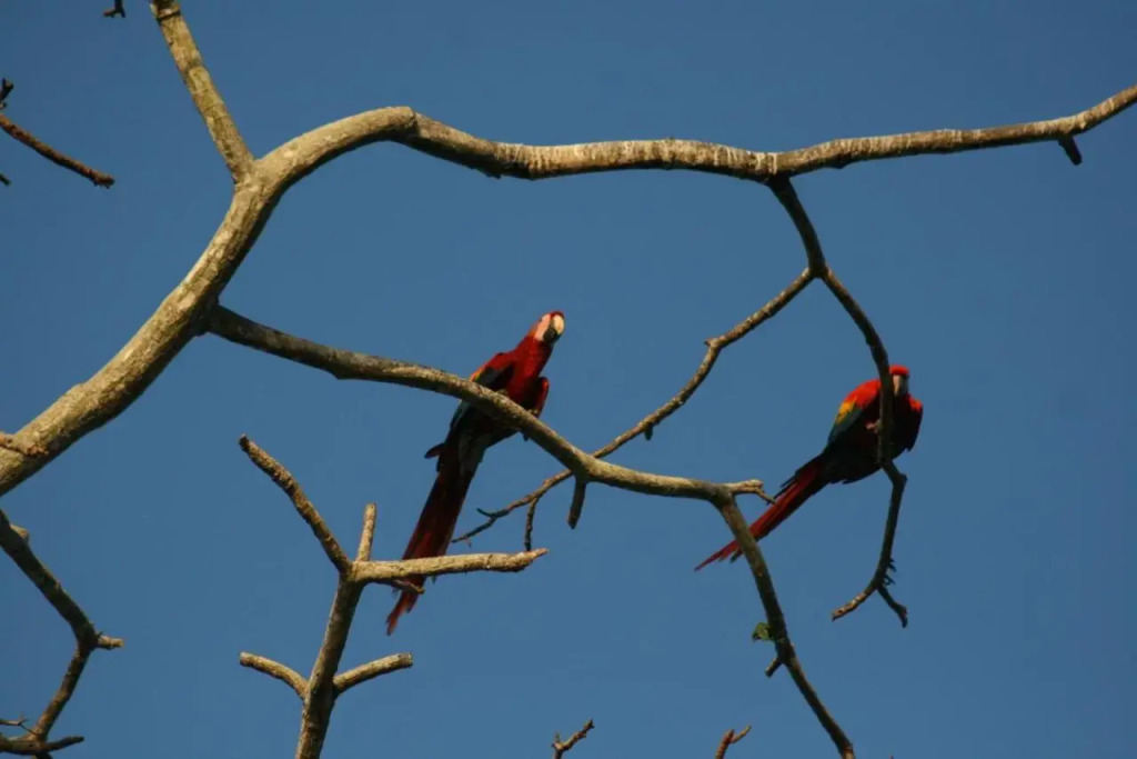 Sol Pacifico Lodge - фото 3