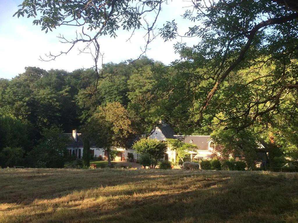 Domaine de Joreau - Général